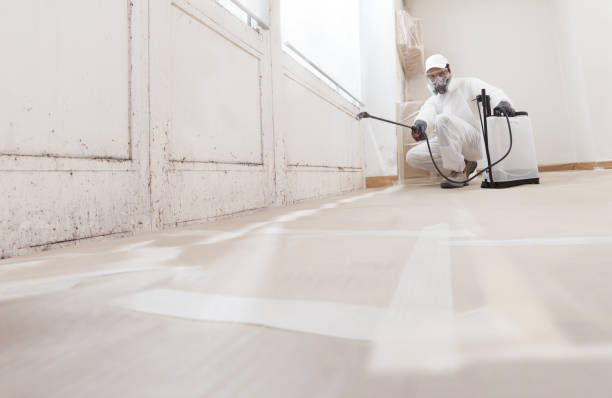 24/7 Emergency Mold Removal experts in Denton, TX