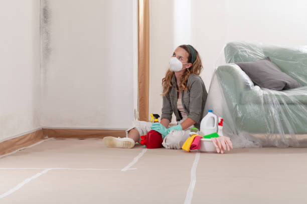 Reliable Mold Removal contractor in Denton, TX by Mold Remediation HQ